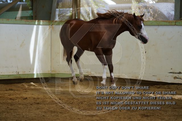 a_K3F04128.JPG